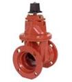 C509 2"-12" Resilient Wedge Gate Valve
