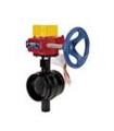 300 lb. WWP Butterfly Valve (NIBCO®)
