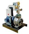 Legend MAX - 13D Residential Pump Systems (5 - 7.5 hp)